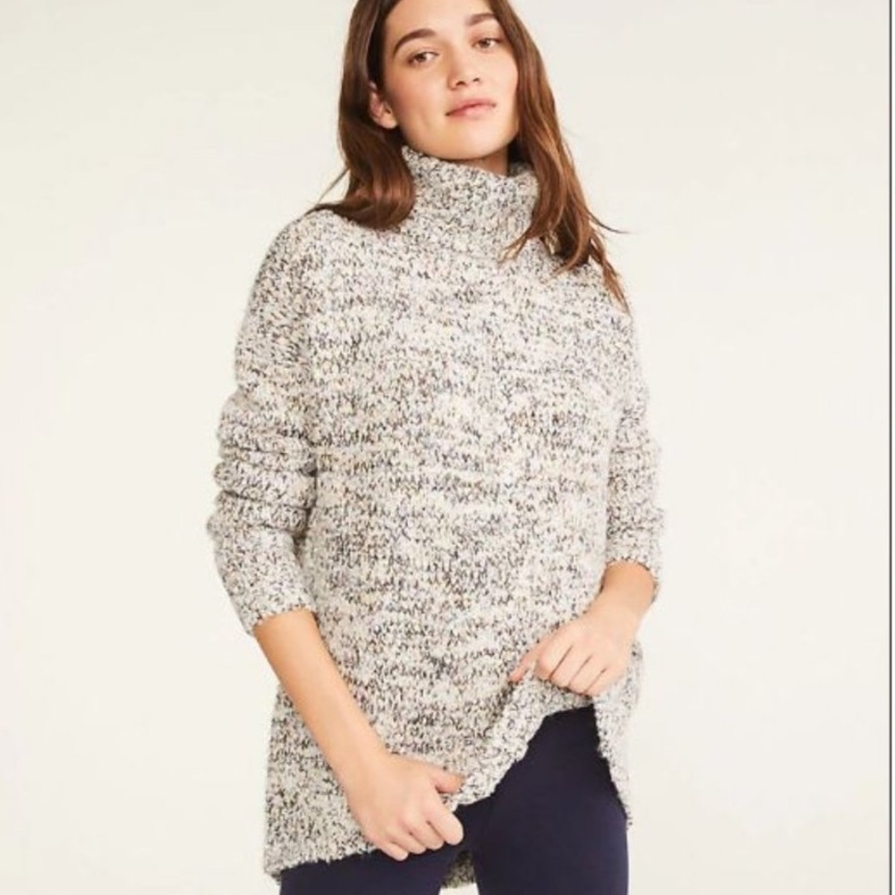 Lou and Grey for LOFT chunky glitter turtleneck